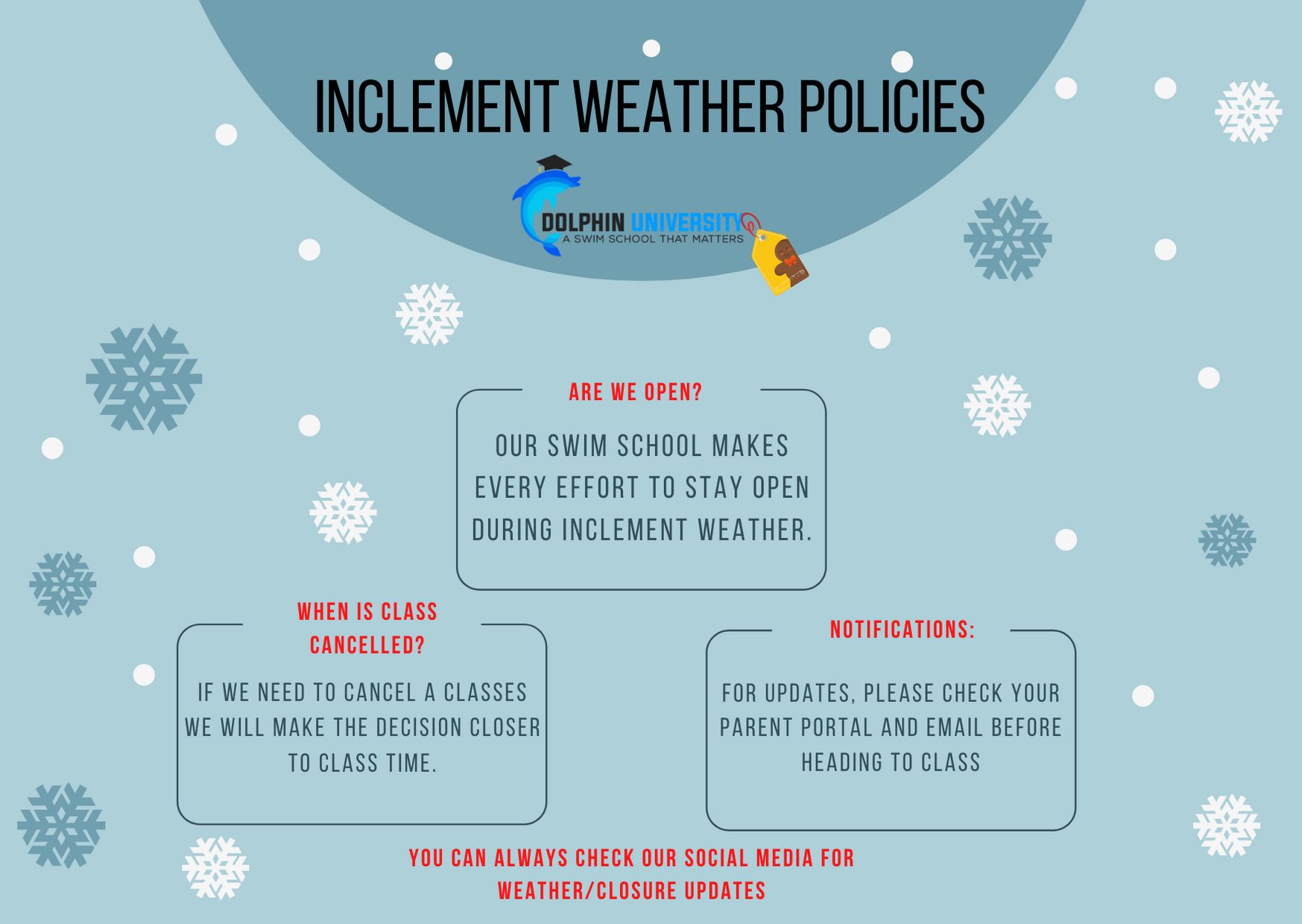 Dolphin University Health and Safety